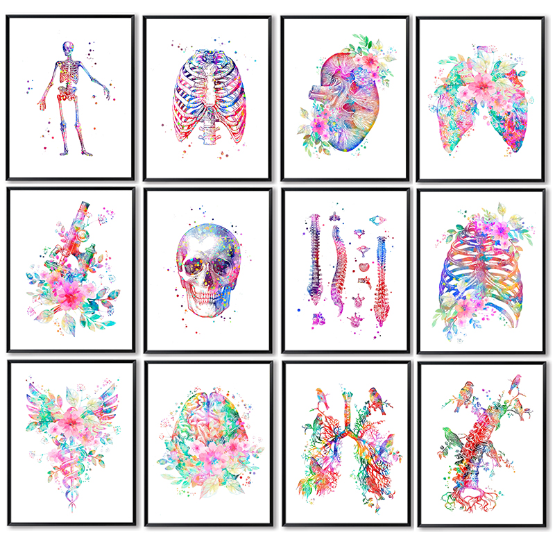 Medical Lab Pictures - Anatomy Medical Poster Flower Organ Wall