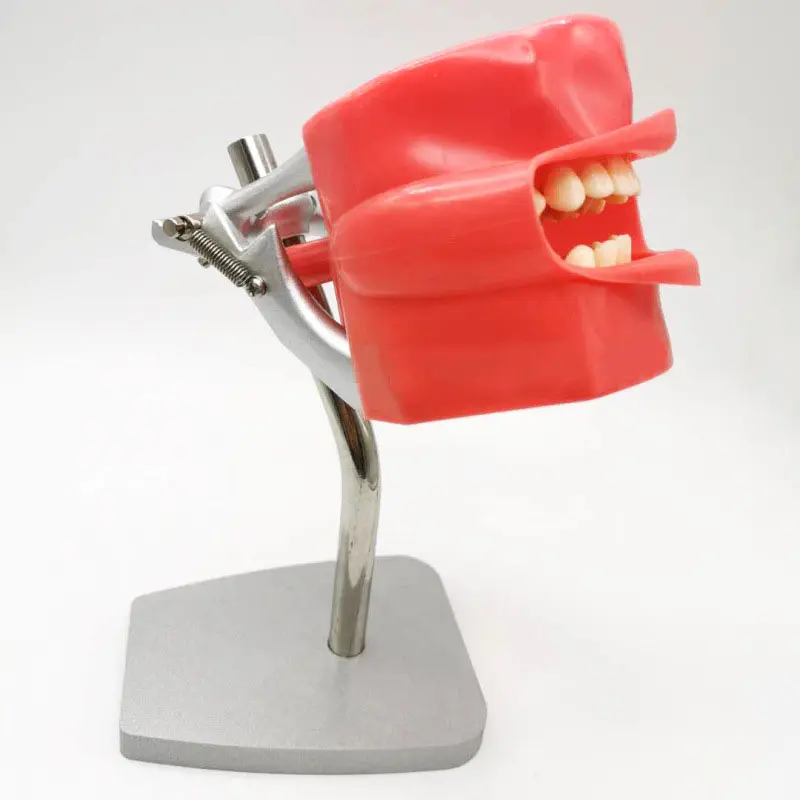Medical Lab Professional - Professional Simple Type Removeable Lab Training