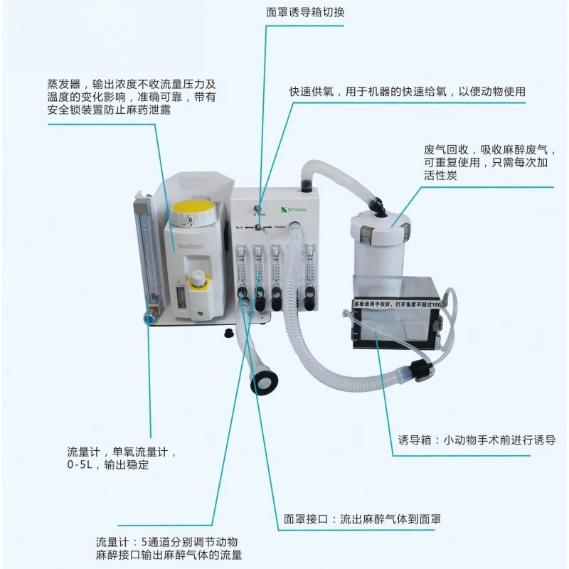 Medical Professional Laborator - Medical Lab Professional 评论和价格