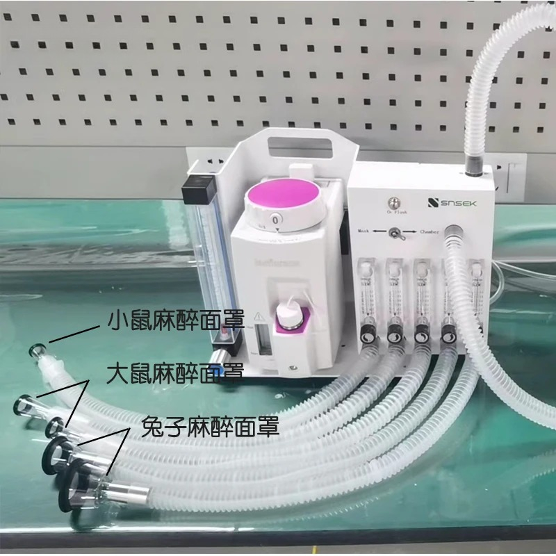 Medical Professional Laborator - Medical Lab Professional 评论和价格