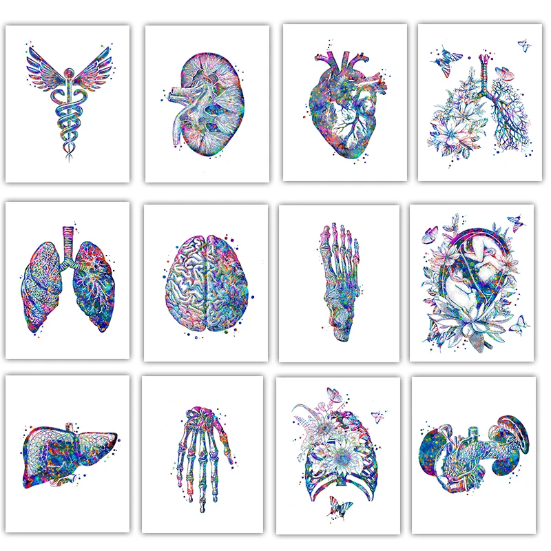 Anatomy Medical Poster Flower  - Medical Lab Pictures 评论和价格