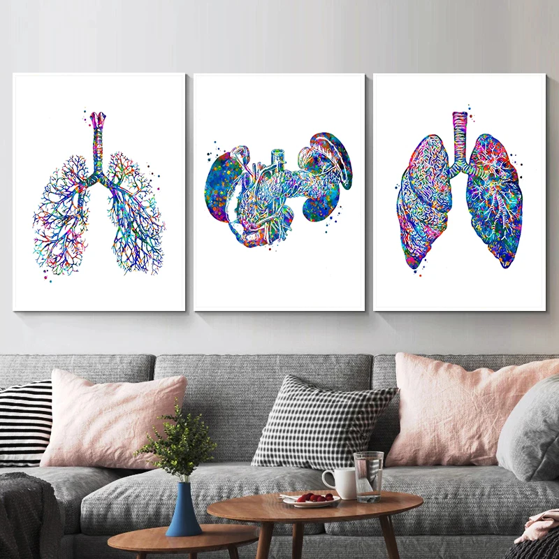 Anatomy Medical Poster Flower  - Medical Lab Pictures 评论和价格