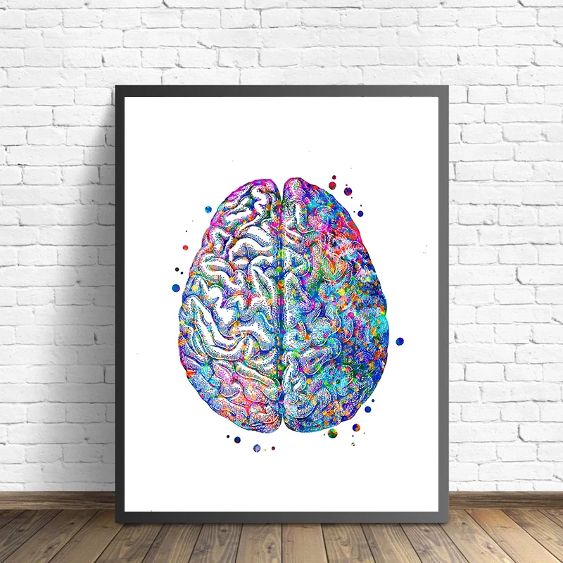 Anatomy Medical Poster Flower  - Medical Lab Pictures 评论和价格