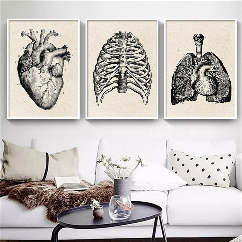 Medical Anatomy Artwork Canvas - Medical Lab Posters 评论和价格