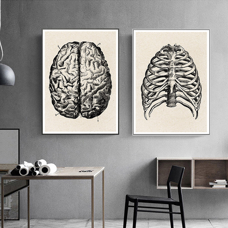 Medical Anatomy Artwork Canvas - Medical Lab Posters 评论和价格