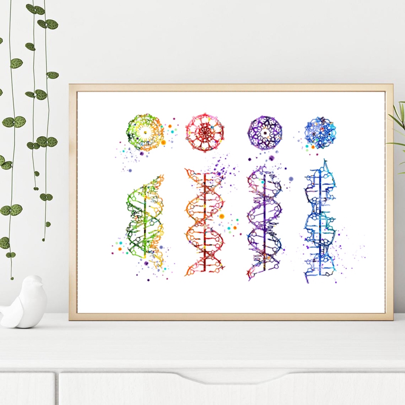 DNA Molecule Print Modern Medi - Medical Lab Pictures 评论和价格