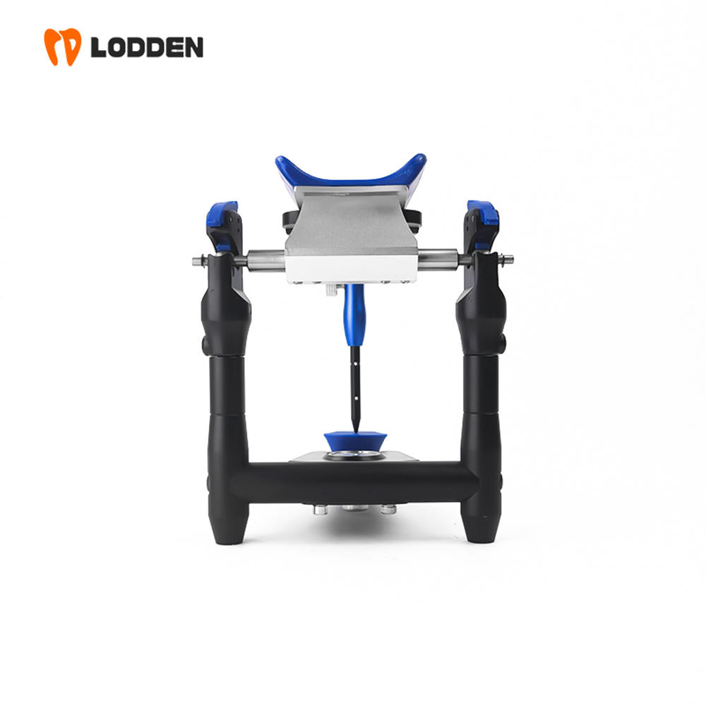 LODDEN BN Value Articulator Mi - Medical Lab Values 评论和价格