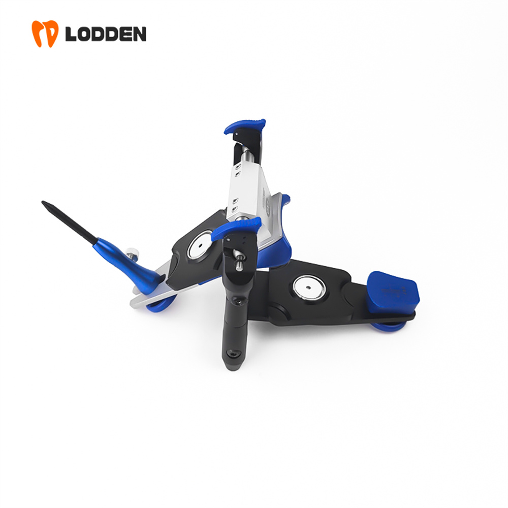 LODDEN BN Value Articulator Mi - Medical Lab Values 评论和价格