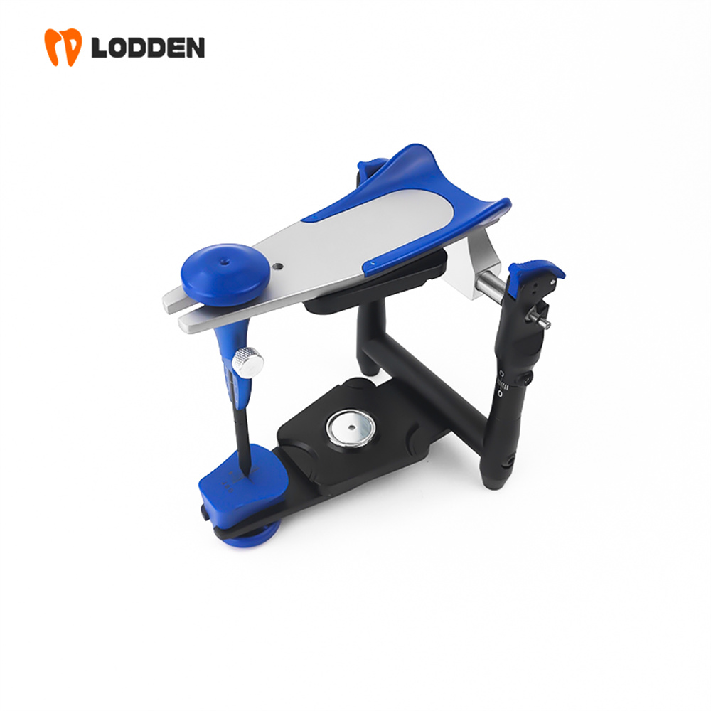 LODDEN BN Value Articulator Mi - Medical Lab Values 评论和价格