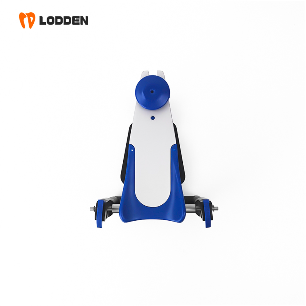 LODDEN BN Value Articulator Mi - Medical Lab Values 评论和价格